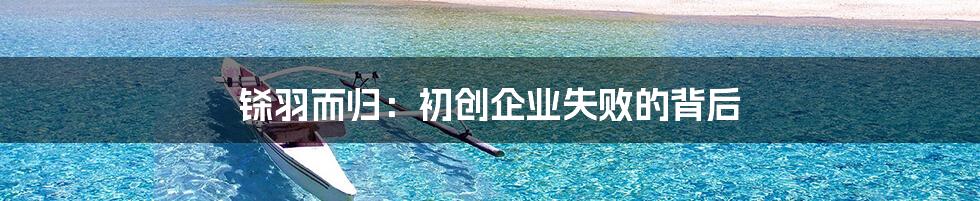 铩羽而归：初创企业失败的背后