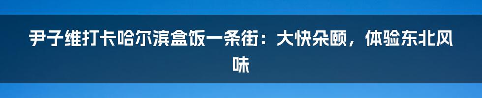 尹子维打卡哈尔滨盒饭一条街：大快朵颐，体验东北风味