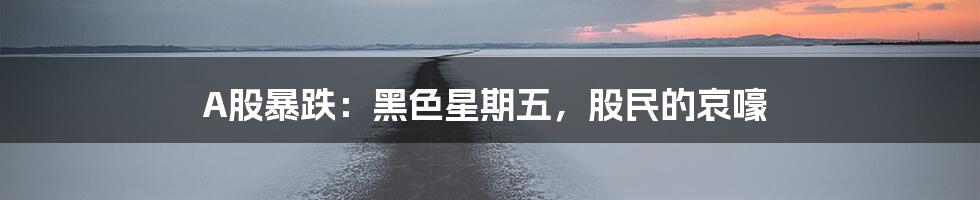 A股暴跌：黑色星期五，股民的哀嚎