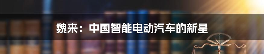 魏来：中国智能电动汽车的新星