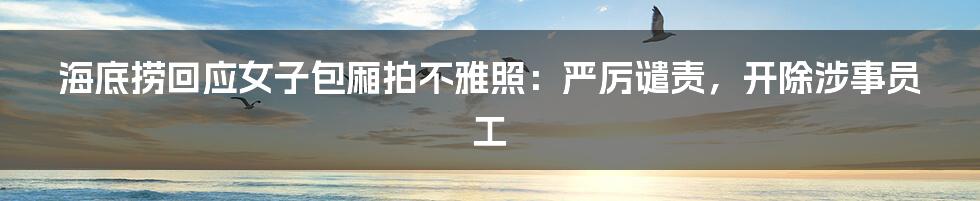 海底捞回应女子包厢拍不雅照：严厉谴责，开除涉事员工