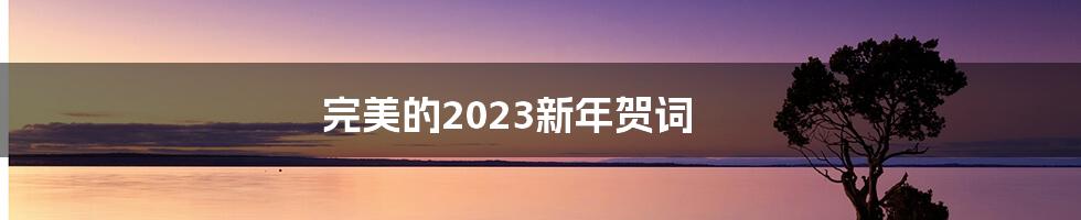 完美的2023新年贺词