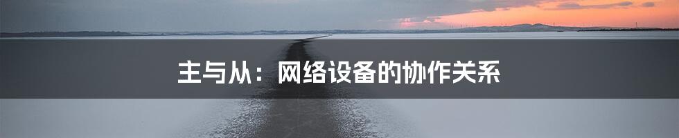 主与从：网络设备的协作关系