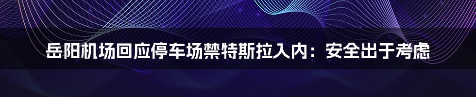 岳阳机场回应停车场禁特斯拉入内：安全出于考虑