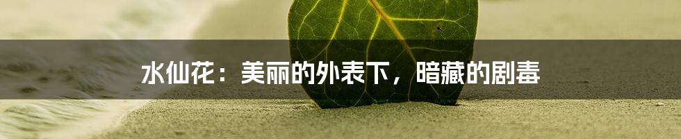 水仙花：美丽的外表下，暗藏的剧毒