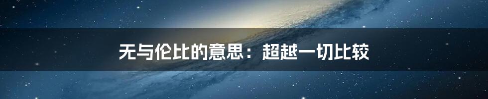 无与伦比的意思：超越一切比较