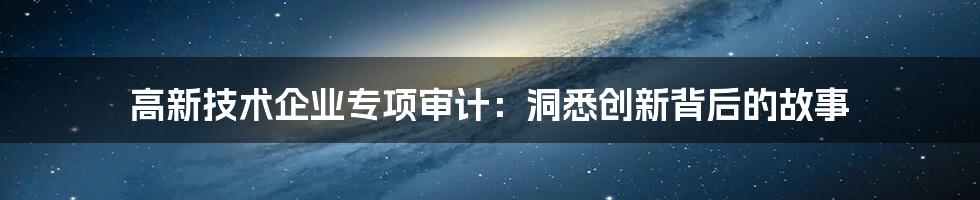 高新技术企业专项审计：洞悉创新背后的故事