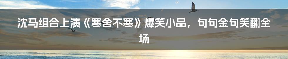 沈马组合上演《寒舍不寒》爆笑小品，句句金句笑翻全场