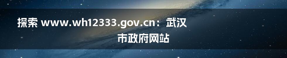 探索 www.wh12333.gov.cn：武汉市政府网站