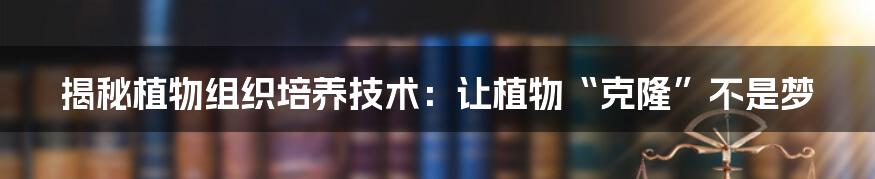 揭秘植物组织培养技术：让植物“克隆”不是梦