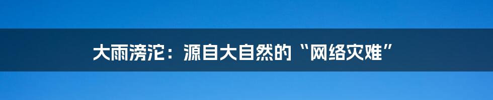 大雨滂沱：源自大自然的“网络灾难”