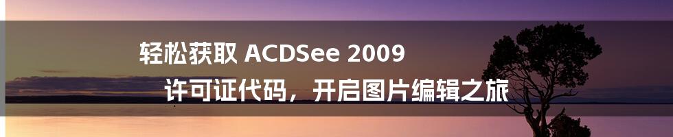 轻松获取 ACDSee 2009 许可证代码，开启图片编辑之旅