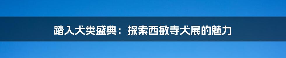 踏入犬类盛典：探索西敏寺犬展的魅力