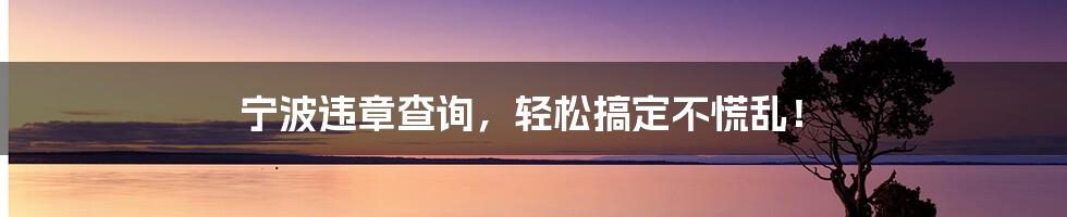 宁波违章查询，轻松搞定不慌乱！