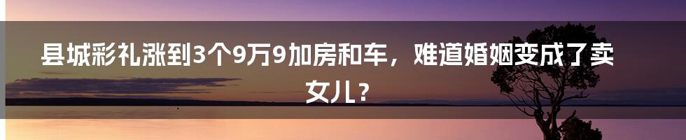 县城彩礼涨到3个9万9加房和车，难道婚姻变成了卖女儿？