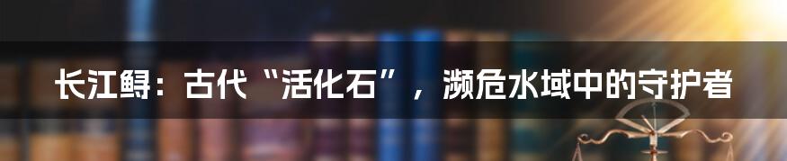 长江鲟：古代“活化石”，濒危水域中的守护者