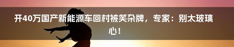 开40万国产新能源车回村被笑杂牌，专家：别太玻璃心！