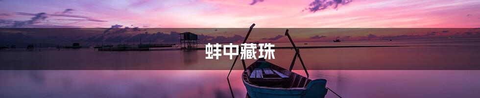 蚌中藏珠