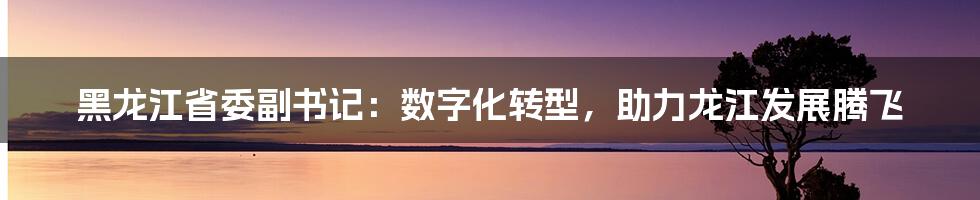 黑龙江省委副书记：数字化转型，助力龙江发展腾飞