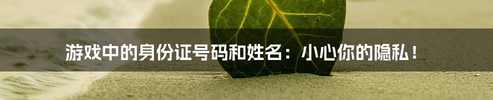 游戏中的身份证号码和姓名：小心你的隐私！