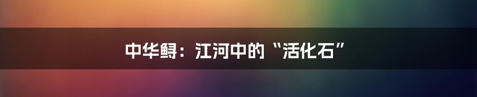 中华鲟：江河中的“活化石”