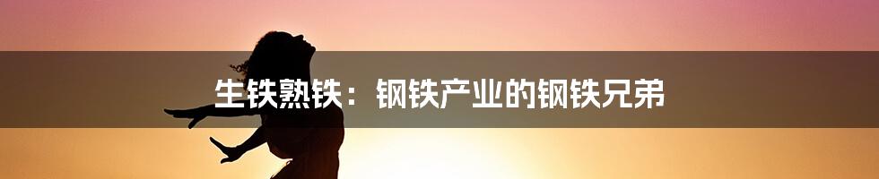 生铁熟铁：钢铁产业的钢铁兄弟