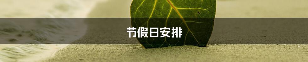 节假日安排