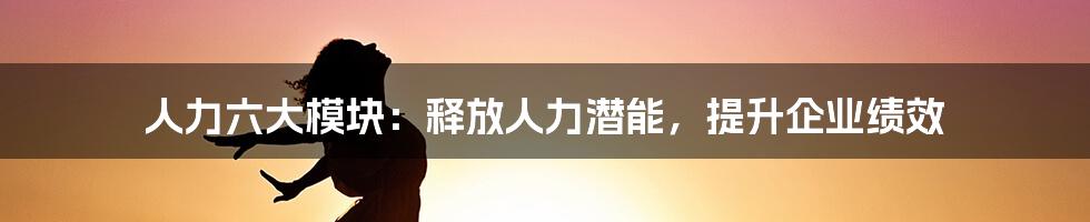 人力六大模块：释放人力潜能，提升企业绩效