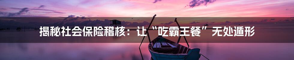 揭秘社会保险稽核：让“吃霸王餐”无处遁形