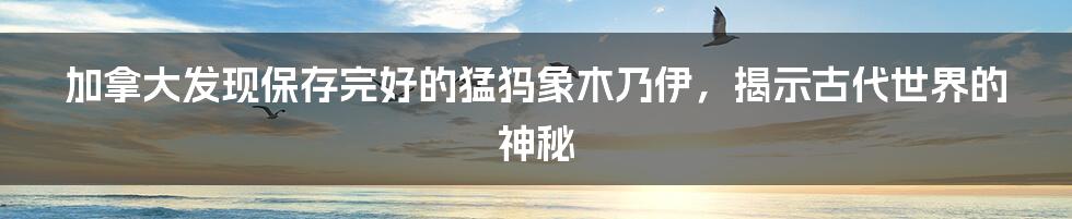 加拿大发现保存完好的猛犸象木乃伊，揭示古代世界的神秘