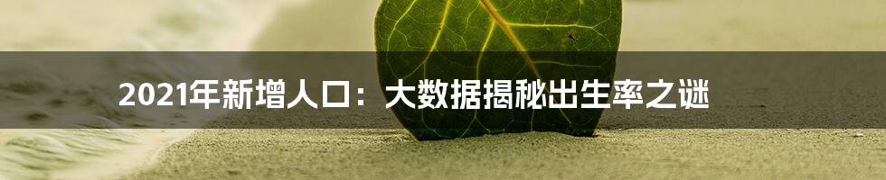 2021年新增人口：大数据揭秘出生率之谜