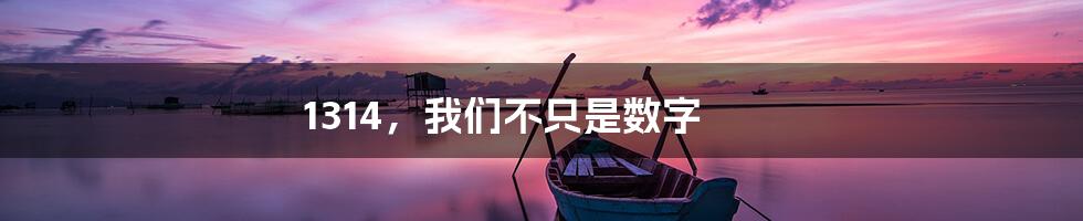 1314，我们不只是数字