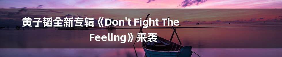 黄子韬全新专辑《Don't Fight The Feeling》来袭