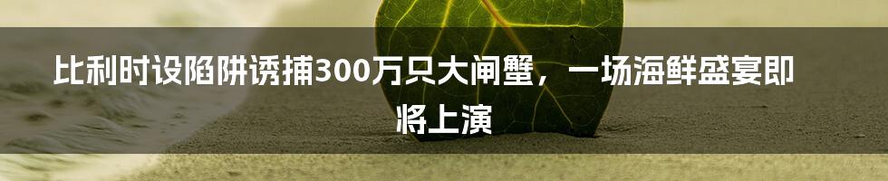 比利时设陷阱诱捕300万只大闸蟹，一场海鲜盛宴即将上演