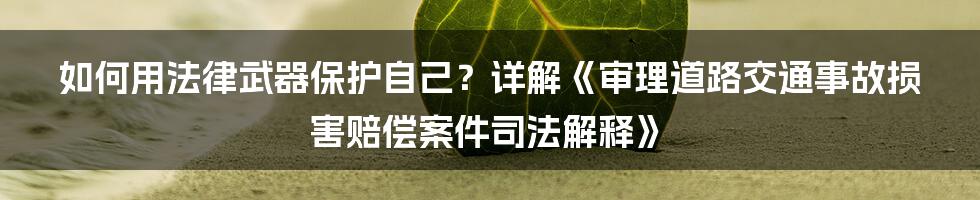 如何用法律武器保护自己？详解《审理道路交通事故损害赔偿案件司法解释》