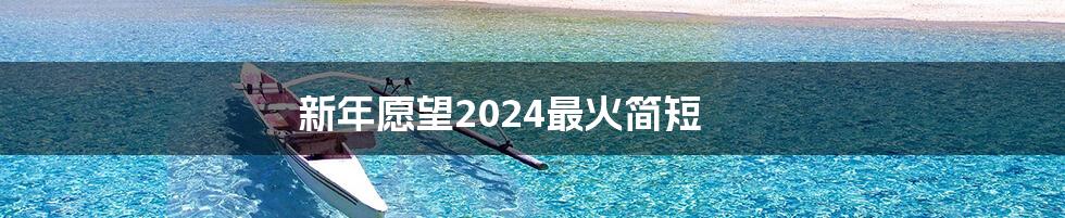 新年愿望2024最火简短