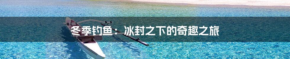 冬季钓鱼：冰封之下的奇趣之旅