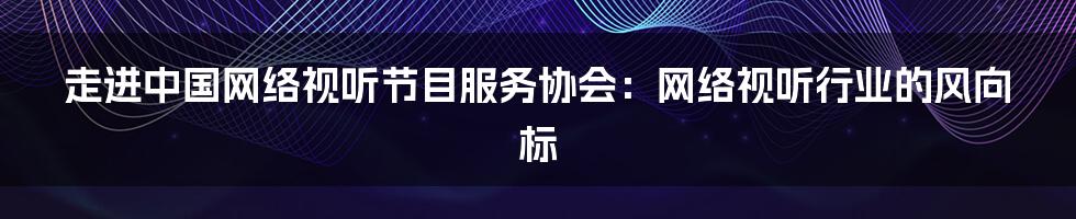 走进中国网络视听节目服务协会：网络视听行业的风向标