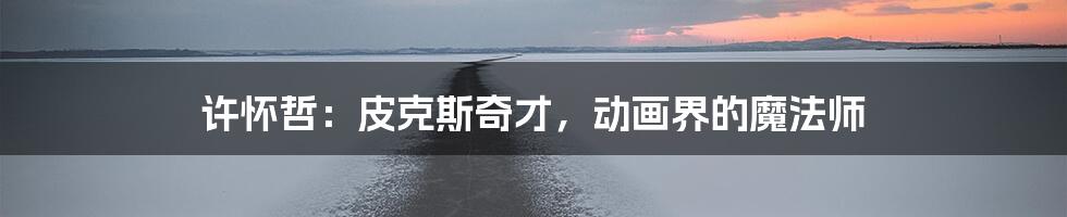 许怀哲：皮克斯奇才，动画界的魔法师