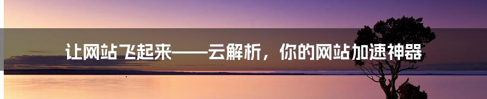 让网站飞起来——云解析，你的网站加速神器