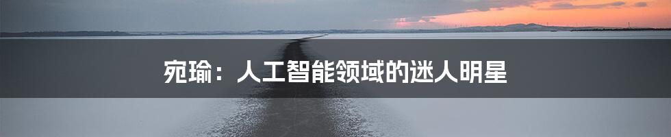 宛瑜：人工智能领域的迷人明星