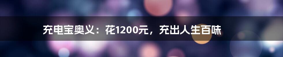 充电宝奥义：花1200元，充出人生百味