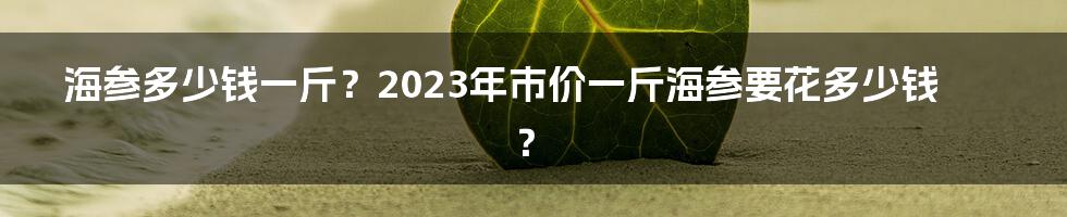 海参多少钱一斤？2023年市价一斤海参要花多少钱？