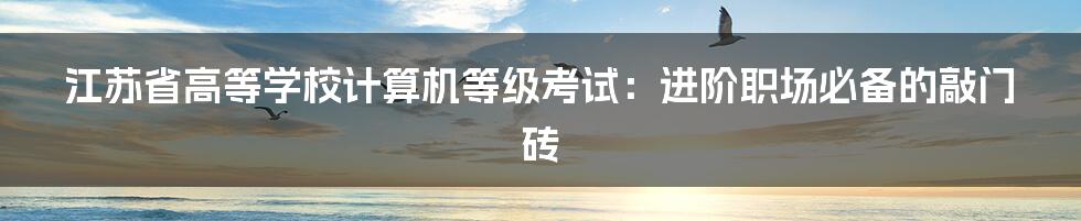 江苏省高等学校计算机等级考试：进阶职场必备的敲门砖