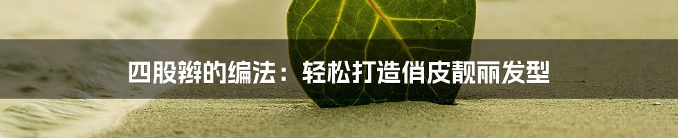 四股辫的编法：轻松打造俏皮靓丽发型