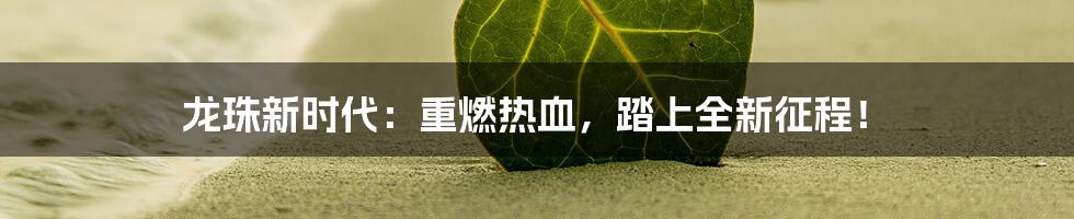 龙珠新时代：重燃热血，踏上全新征程！