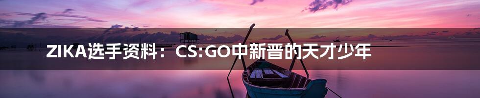 ZIKA选手资料：CS:GO中新晋的天才少年