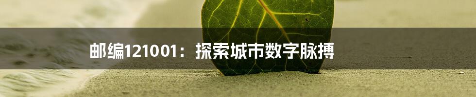 邮编121001：探索城市数字脉搏