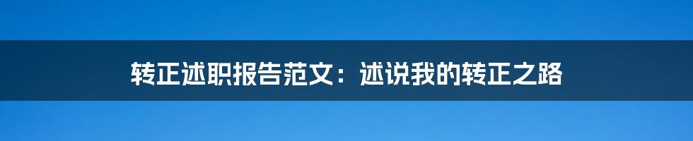 转正述职报告范文：述说我的转正之路