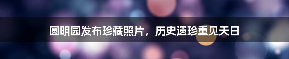 圆明园发布珍藏照片，历史遗珍重见天日